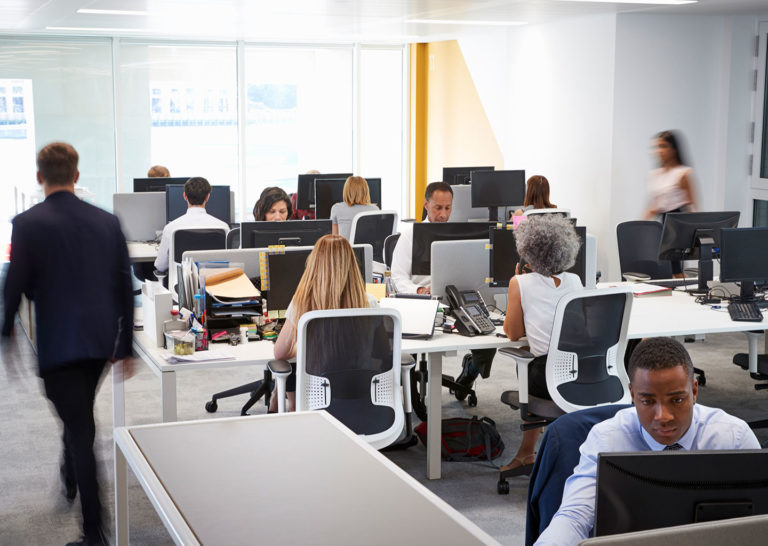 People all on computers in office